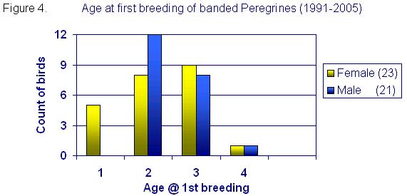 Age at first breeding of banded Peregrines (1991 - 2005)