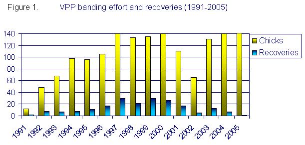 VPP banding effort and recoveries 1991 - 2005