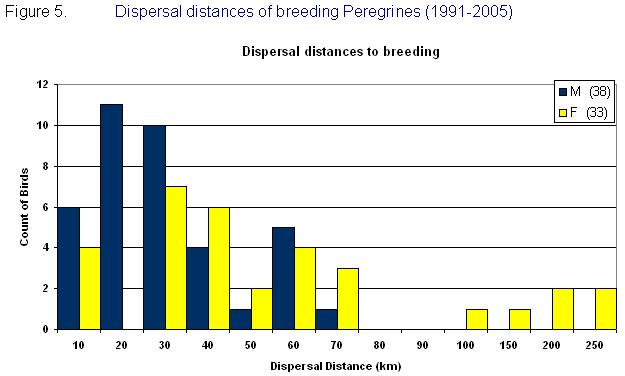 Dispersal distances of breeding Peregrines (1991 - 2005)