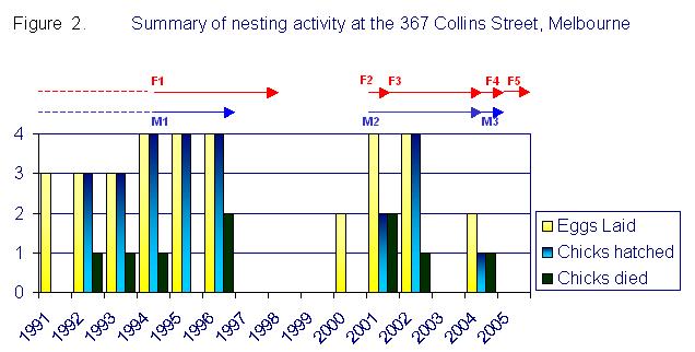 Summary of nesting activity at 367 Collins Street, Melbourne