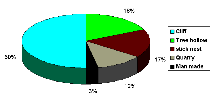 Nest Type Summary